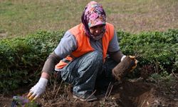 Manavgat'ta parklara kadın eli değiyor