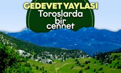 Antalya'da huzurun adresi: Gedevet Yaylası