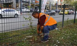 Büyükşehir’den refüj çalışması