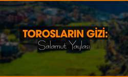 Salamut Yaylası: Torosların Derinliklerine Yolculuk