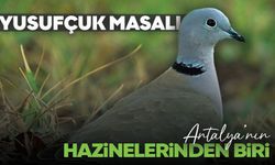 Antalya'nın masalsı keşfi: Yusufçuk Hikayesi