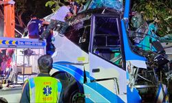İki katlı otobüs ağaca çarptı: 14 ölü, 35 yaralı