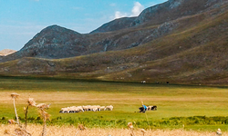 Yükseklerdeki huzur: Söbüce Yaylası