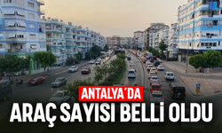 Antalya'da araç sayısı belli oldu