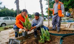 Büyükşehir'den iklim dostu peyzaj çalışması