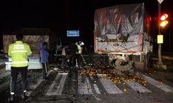 Yol mandalin tarlasına döndü