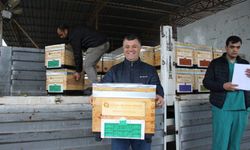 Kemerli arı üreticilerine kovan desteği