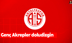 Genç Akrepler doludizgin