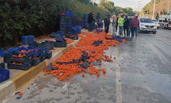 Kazada domatesler yola saçıldı