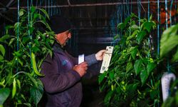 Çiftçilerin hayatını kolaylaştıran proje