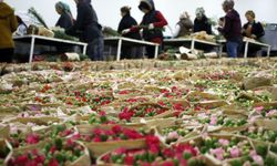 Deprem şehitleri karanfillerle anılacak