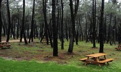 Konyaaltı’da orman parkı 20 yıllığına kiralanacak!