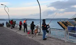 Amatör balıkçı gerilim hattına kapıldı