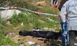 Yol kenarında ceset bulundu