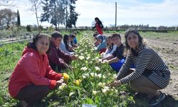 Öğrencilerden kesme çiçek üretimi