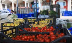 Antalya’da Ağustos'ta 310 milyon 314 bin dolar ihracat