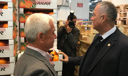 Narenciye üretimi TBMM gündeminde