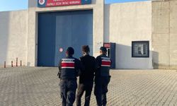 Yaşlı kadını parçalayıp öldüren köpeklerin sahibi tutuklandı