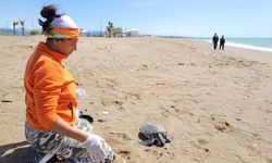 Caretta ölüsü kıyıya vurdu
