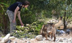 Kayıp Nihal'i arama çalışmaları sürüyor