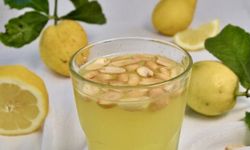 Alanya fıstıklı limonataya 'Coğrafi İşaret' tescili