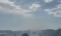 Alanya'da makilik alanda yangın