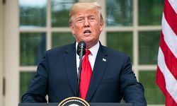 Trump davasında çapraz sorgu