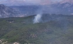 Tazı Kanyonu'ndaki yangın söndürüldü