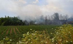 Aksu'da bahçe yangını!