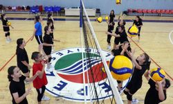 Voleybol kursları, Filenin Sultanları sayesinde doldu