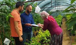 Gazipaşa'da denetim