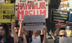 Yaşatmak için çözüm isteniyor