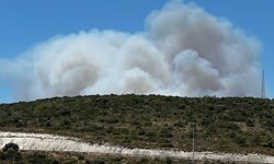 Çeşme'de orman yangını: 3 ölü