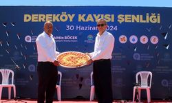 Dereköy'de Kayısı Şenliği