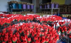 Kesme çiçekte hedef 150 milyon dolar
