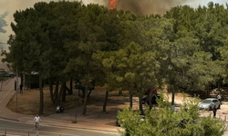 Konyaaltı Belediyesi'nden orman yangınlarıyla mücadele