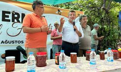 Antalya'da Bal Festivali'nde renkli görüntüler