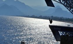 Red Bull Cliff Diving Antalya etabı başladı