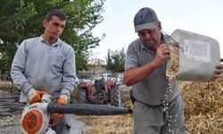 Konyaaltı'da şenlik yarın başlıyor