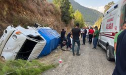 Yoldan çıkan kamyonet devrildi