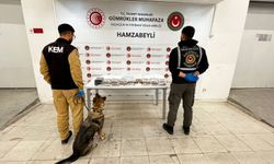 103 milyon TL değerinde uyuşturucu ele geçirildi