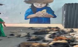 Skandal görüntüler için soruşturma başlatıldı