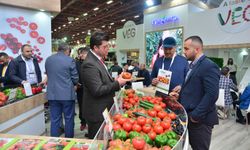 GROWTECH.ANTALYA başlıyor