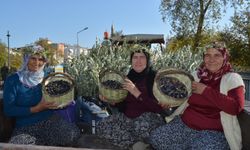 Zeytinyağı Festivali'nde barış mesajı