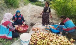 Vefa Sosyal Destek Grubu’ndan 1 ayda 600 faaliyet