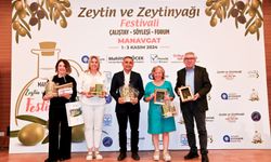 Manavgat'ın zeytin potansiyeli gün yüzüne çıktı