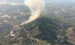 Antalya'da orman yangınına müdahale sürüyor