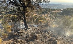 Kumluca'daki orman yangınında 20 hektar alan tahrip oldu