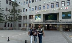 Manavgat'ta kumar operasyonu
