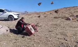 240 çil keklik doğaya salındı